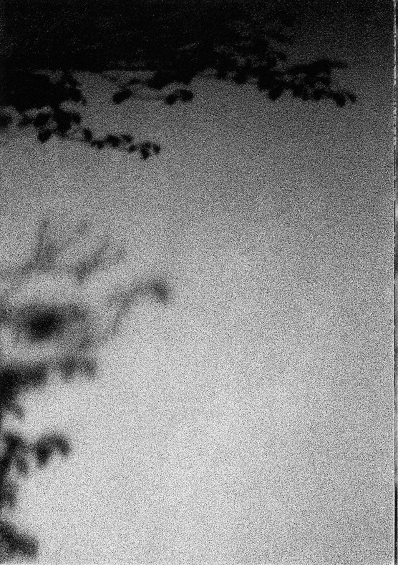 Zine Cover